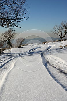 Tyre tracks in the snow