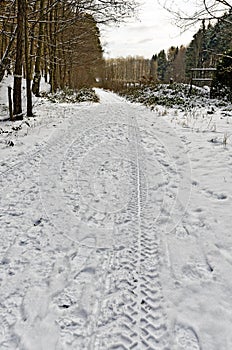 tyre tracks on snow-covered forest road