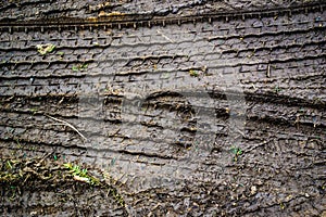 Tyre tracks in some mud closeup