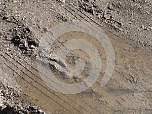 Tyre tracks