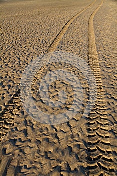 Tyre tracks in wet sand