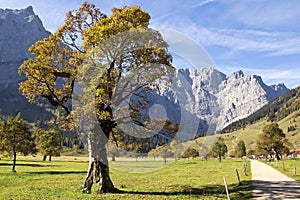 Tyrol, Ahornboden