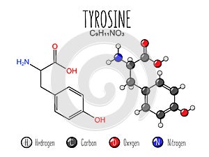 Tyrosine amino acid representation.