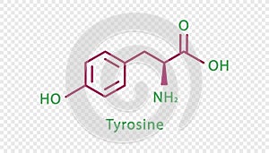 Tyrosine chemical formula. Tyrosine structural chemical formula isolated on transparent background.