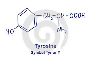 Tyrosine chemical structure. Vector illustration Hand drawn