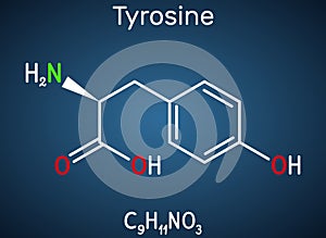 Tyrosine, L-tyrosine, Tyr,  C9H11NO3  amino acid molecule. It plays role in protein synthesis, it is precursor for synthesis of