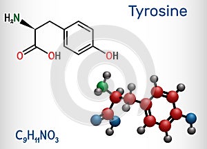 Tyrosine, L-tyrosine, Tyr,  C9H11NO3  amino acid molecule. It plays role in protein synthesis, it is precursor for synthesis of