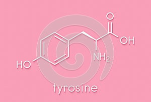 Tyrosine l-tyrosine, Tyr, Y amino acid molecule. Skeletal formula.