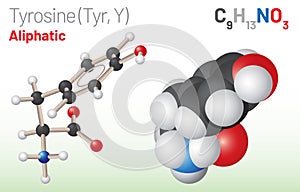 Tyrosine (Trp, W) amino acid molecule. (Chemical formula C9H11NO3)