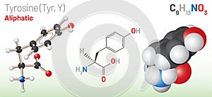 Tyrosine (Trp, W) amino acid molecule. (Chemical formula C9H11NO3)