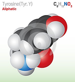 Tyrosine (Trp, W) amino acid molecule. (Chemical formula C9H11NO3)