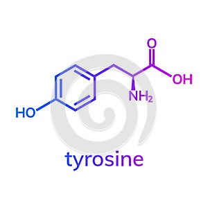 Tyrosine Tyr amino acid