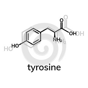 Tyrosine Tyr amino acid