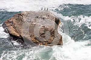 Tyulenovo Rocks, Bulgaria