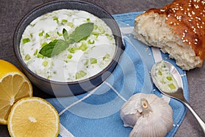 Tzatziki sauce of fresh cucumber, mint and yogurt with lemon and garlic