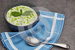 Tzatziki sauce of fresh cucumbers, mint and yogurt with lemon and garlic