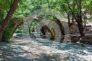 Tzelefos Venetians Bridge in Trodos, Cyprus photo