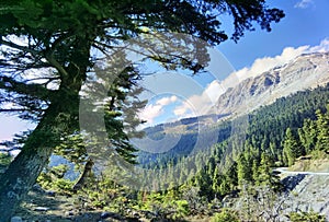 Tzoumerka mountains in spring season in arta perfecture greece