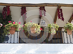 TÃÂ­pica terraza de AndalucÃÂ­a photo