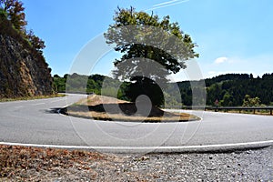 U-curve of a serpentine road in HunsrÃ¼ck during summer