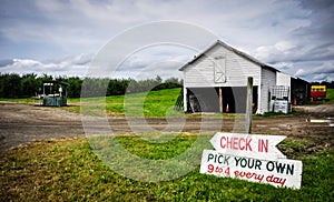 U-Pick Apple Orchard