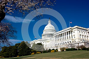 U.S. Capitol building img