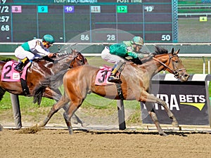 Jose Ortiz on U S Navy Cross