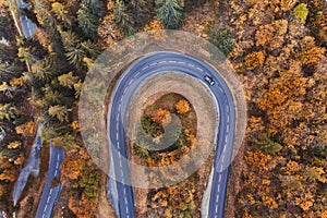 U-turn, beautiful road in autumn forest. Aerial landscape of fall season.