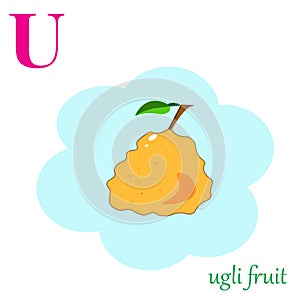 U is for ugli fruit illustration alphabet