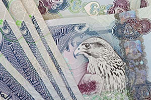 UAE currency dirhams closeup note