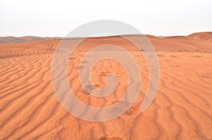 UAE Deserts photo