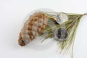 UAE 1 Dirham Coins and Pinecone on pine needles.