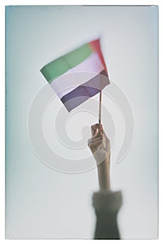 A UAE flag in kids hand