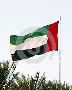 uae national flag flying on the national day in united arab emirates dubai