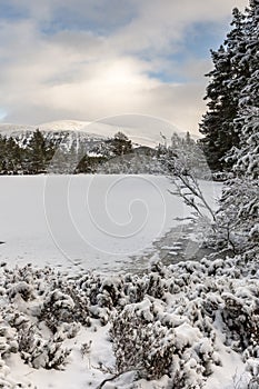 Uath Lochan in Winter at Glen Feshie in the Cairngorms National Park.