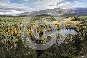 Uath Lochans in the Cairngorms National Park.