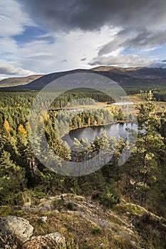 Uath Lochans in the Cairngorms National Park of Scotland.