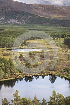 Uath Lochans at Glen Feshie in the highlands of Scotland.