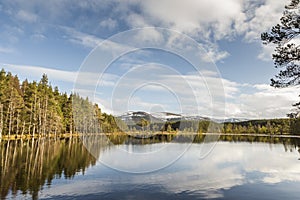 Uath Lochans at Glen Feshie in Scotland.