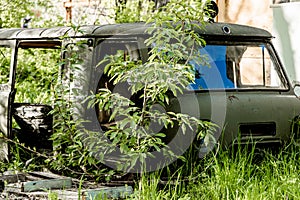 UAZ car old lounging in the grass