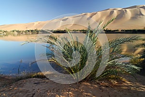 Ubari Oasi, Fezzan, Libya