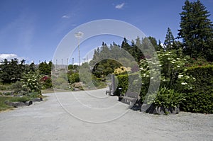 UBC botanical garden flowers blooming photo