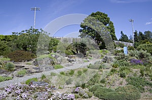 UBC botanical garden flowers blooming photo