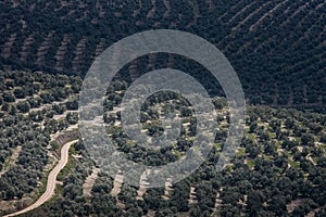 Ubeda, Andalusia, Spain