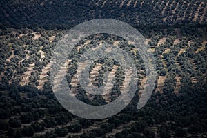 Ubeda, Andalusia, Spain