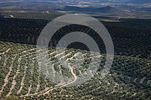 Ubeda, Andalusia, Spain