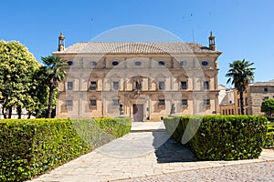 The Vazquez de Molina Palace, also known as the Palace of the Chains is a renaissance palace photo