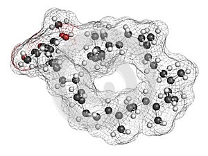 Ubiquinol molecule. Reduced form of coenzyme Q10. 3D rendering. photo