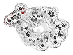 Ubiquinol molecule. Reduced form of coenzyme Q10. 3D rendering.