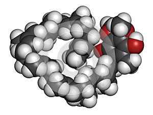 Ubiquinol molecule. Reduced form of coenzyme Q10. 3D rendering.